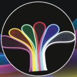 RGB Neon Strip- 12V, 50mm Cut, Size : 8(w)x16(h)h